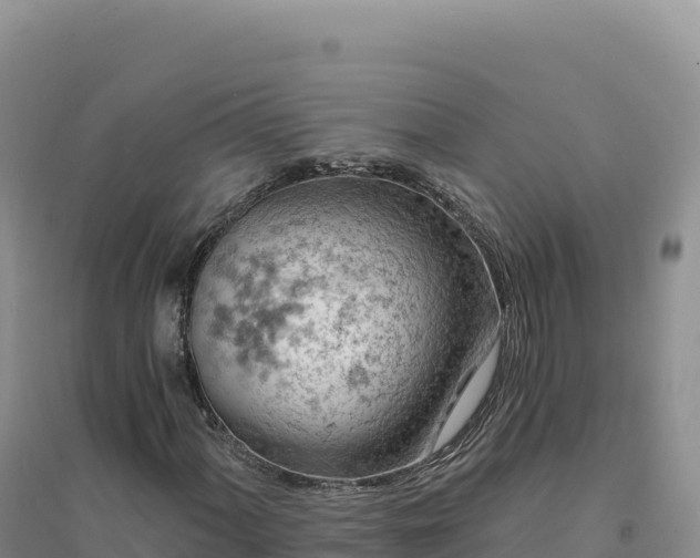 X0000094381060200711091556