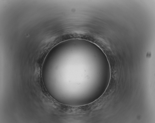 X0000094381061200711091556