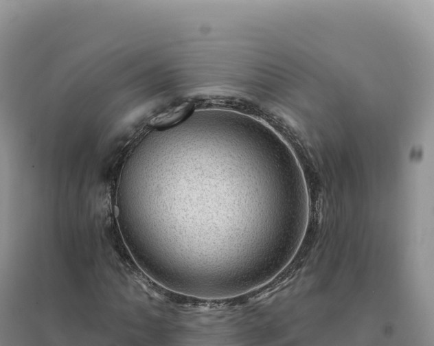 X0000094381062200711091556