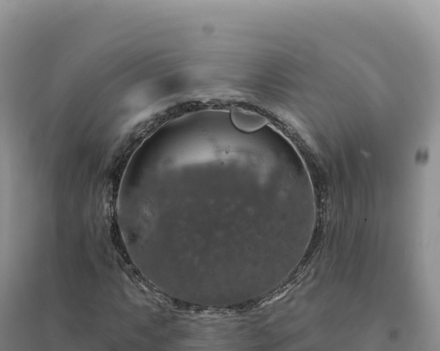 X0000094381063200711091556