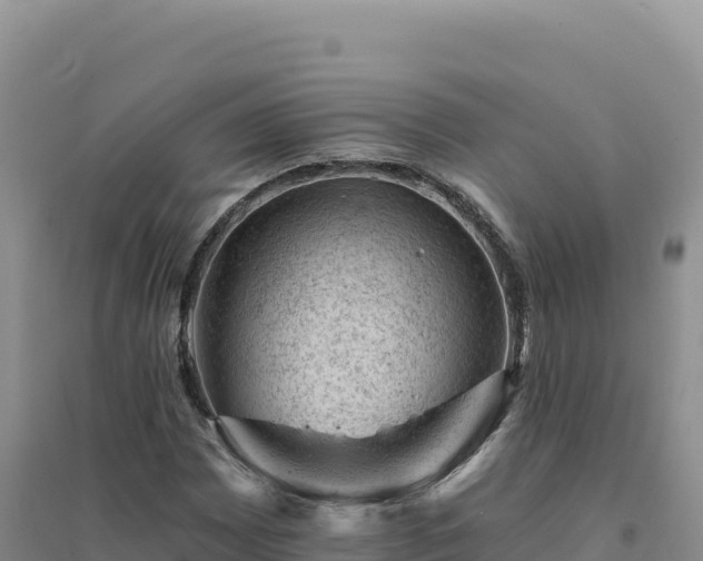 X0000094381065200711091556