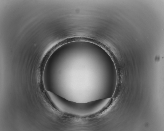 X0000094381069200711091556