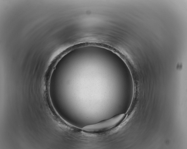 X0000094381070200711091556