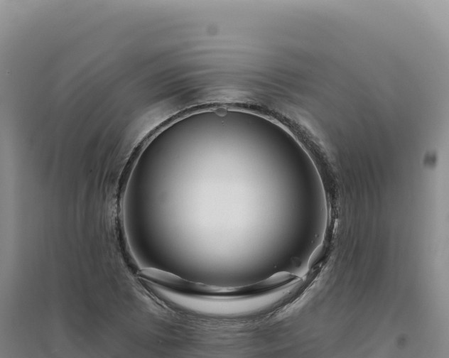 X0000094381073200711091556