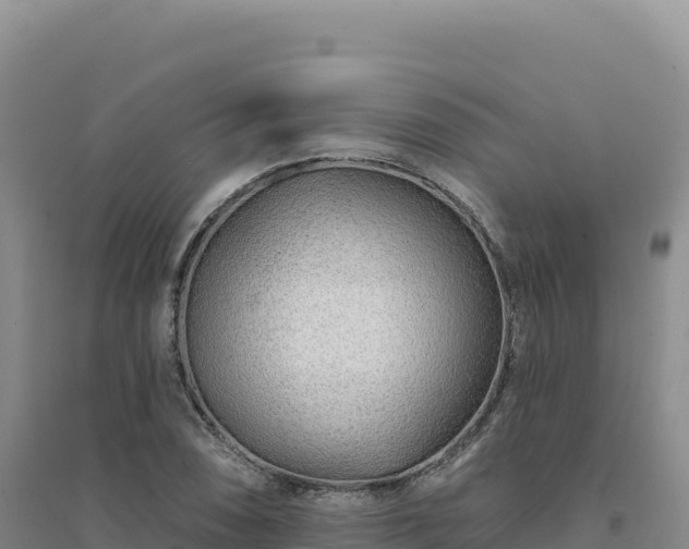 X0000094381074200711091556
