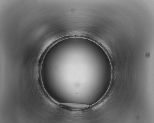 X0000094381075200711091556