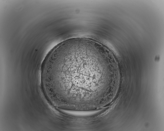 X0000094381079200711091556