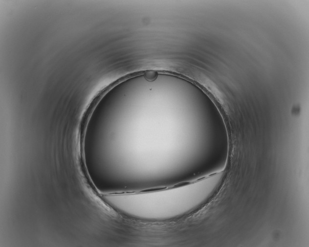X0000094381080200711091556