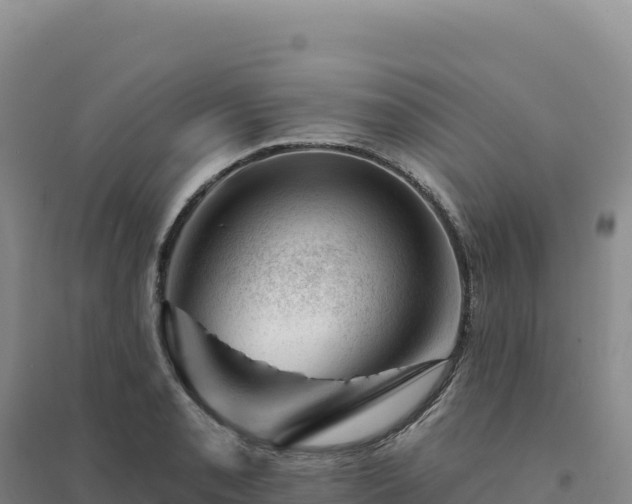 X0000094381085200711091556