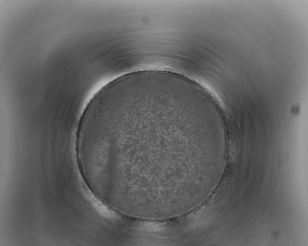 X0000094381086200711091556