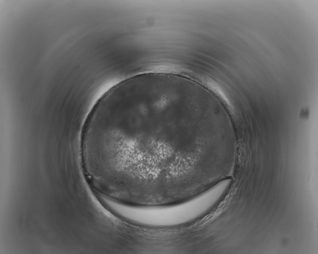 X0000094381087200711091555