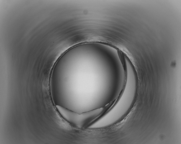 X0000094381089200711091555
