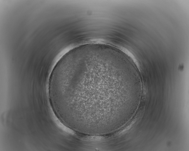 X0000094381090200711091555
