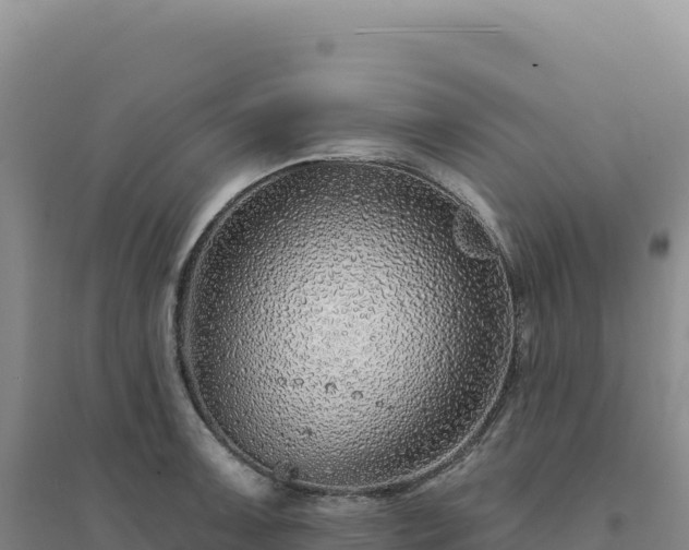 X0000094381091200711091555
