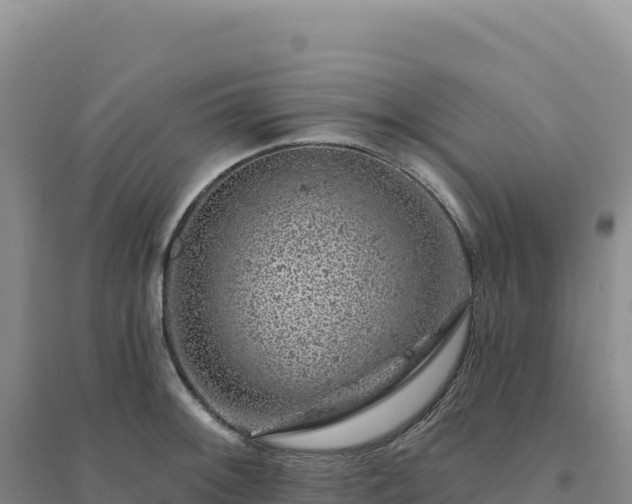 X0000094381092200711091555