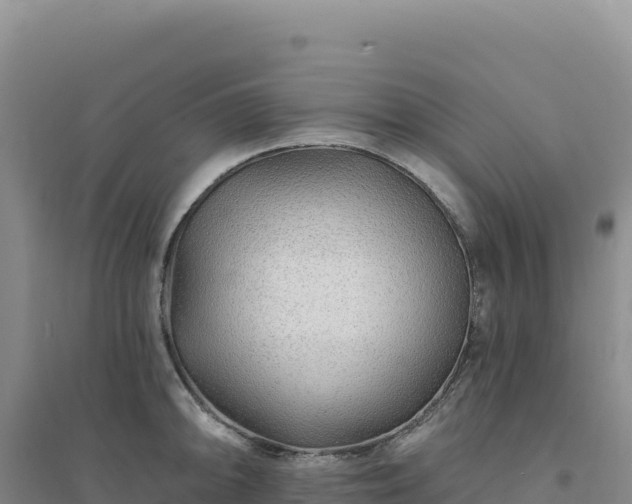 X0000094381094200711091555