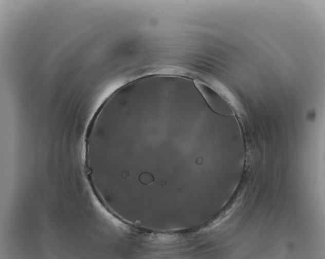 X0000094381095200711091555