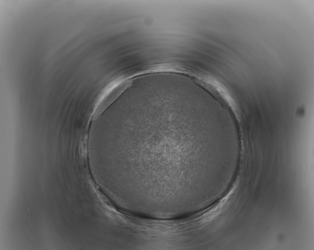 X0000094381097200711091555