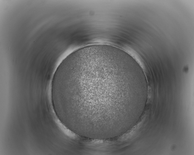 X0000094381098200711091555
