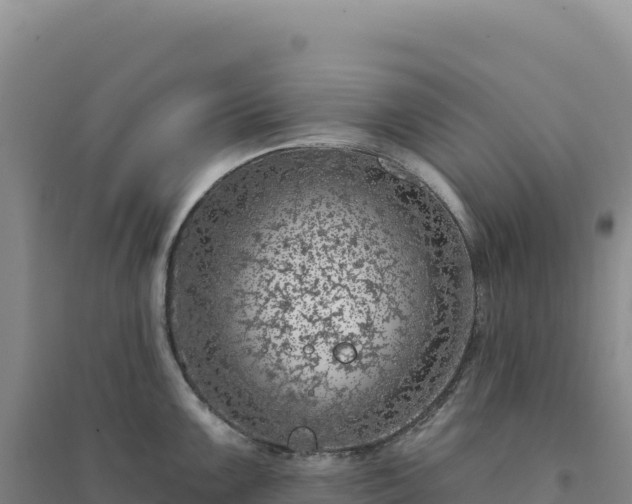 X0000094381099200711091555