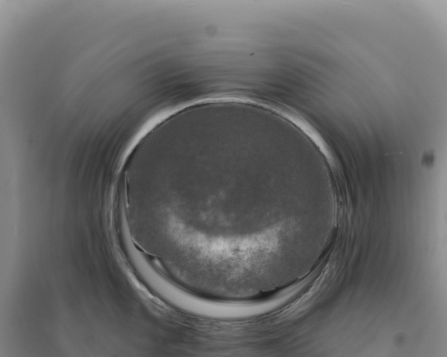 X0000094381101200711091555