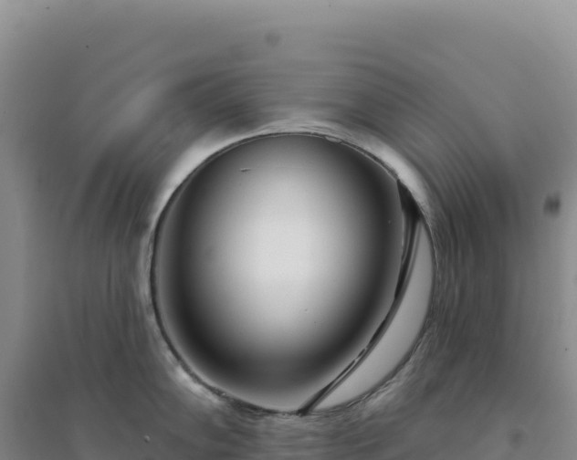X0000094381102200711091555