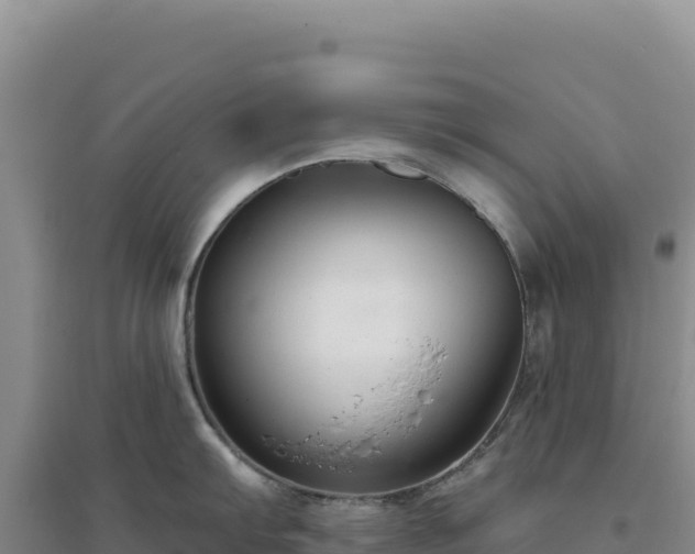 X0000094381103200711091555