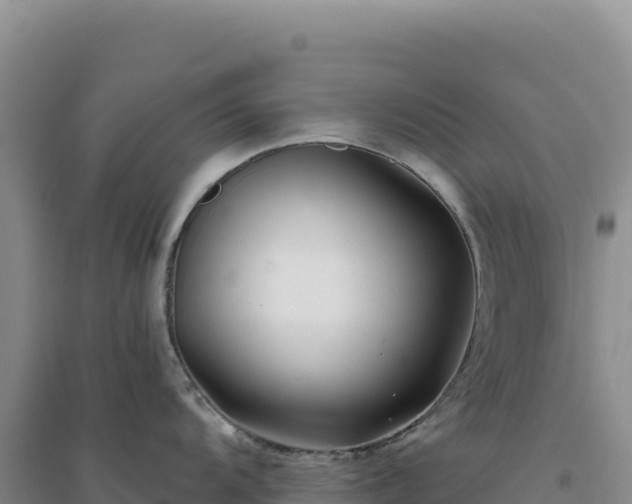 X0000094381104200711091555