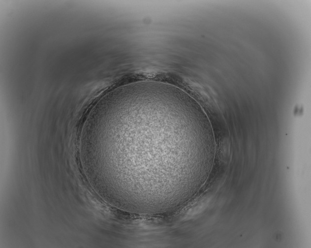 X0000094381105200711091555