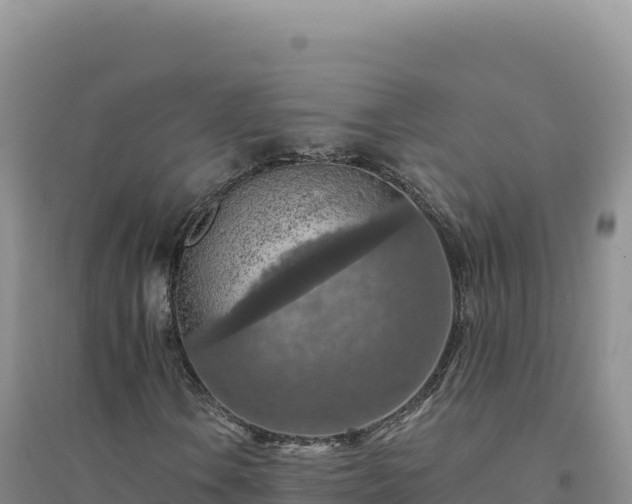 X0000094381106200711091555