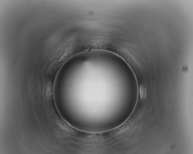X0000094381107200711091555