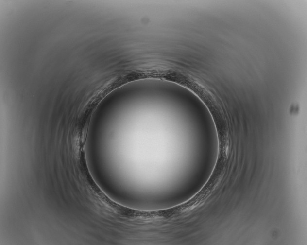 X0000094381108200711091555