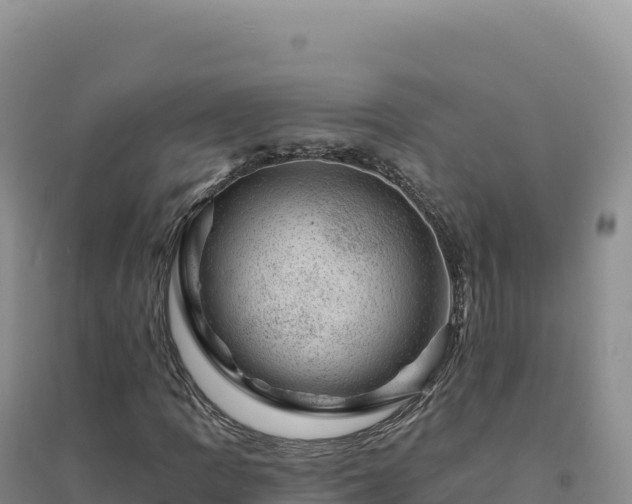 X0000094381109200711091555