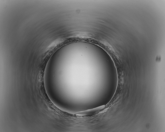 X0000094381110200711091555