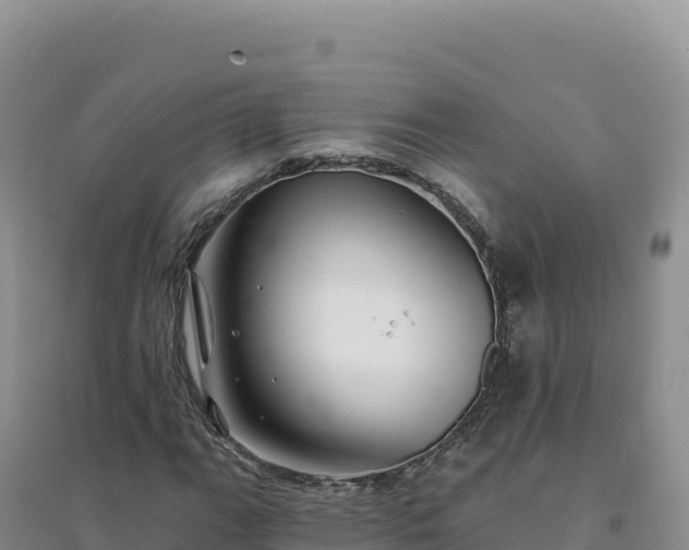 X0000094381111200711091555