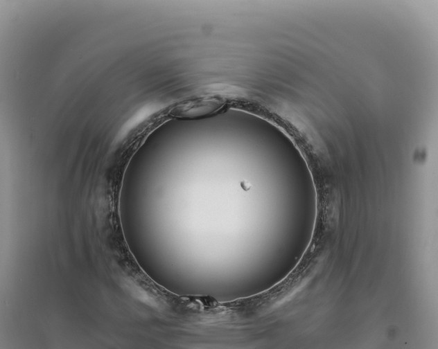 X0000094381112200711091555