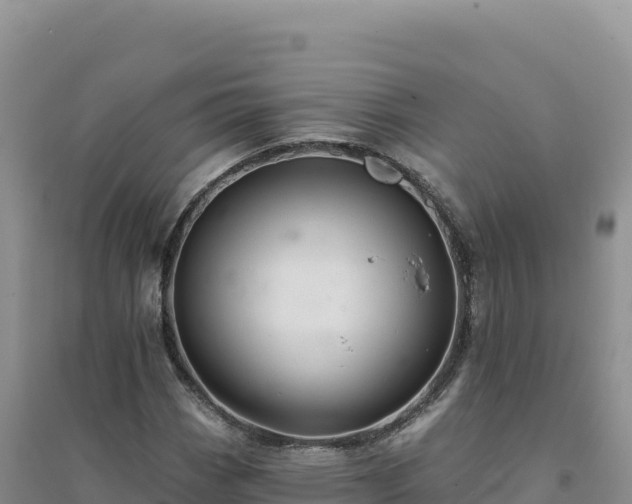 X0000094381113200711091555