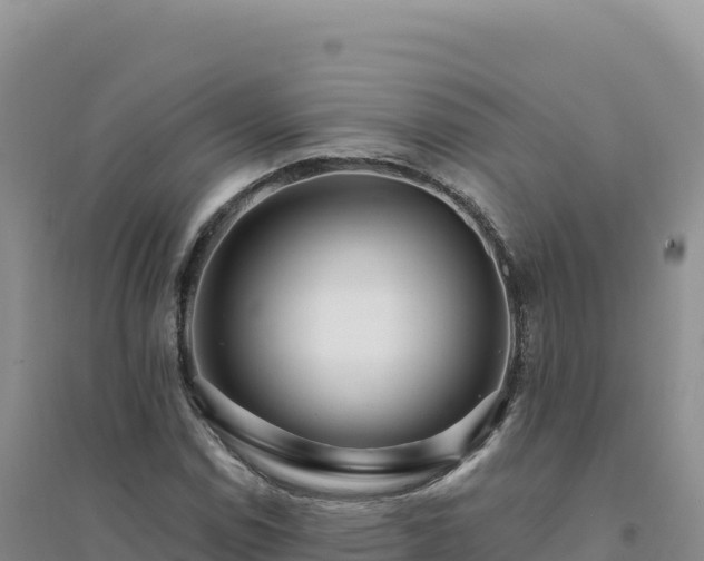 X0000094381114200711091555