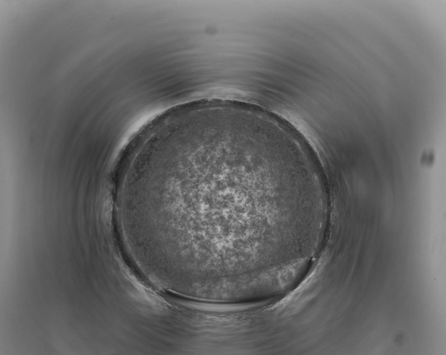 X0000094381115200711091555