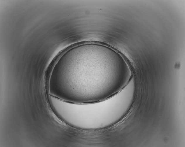 X0000094381116200711091555