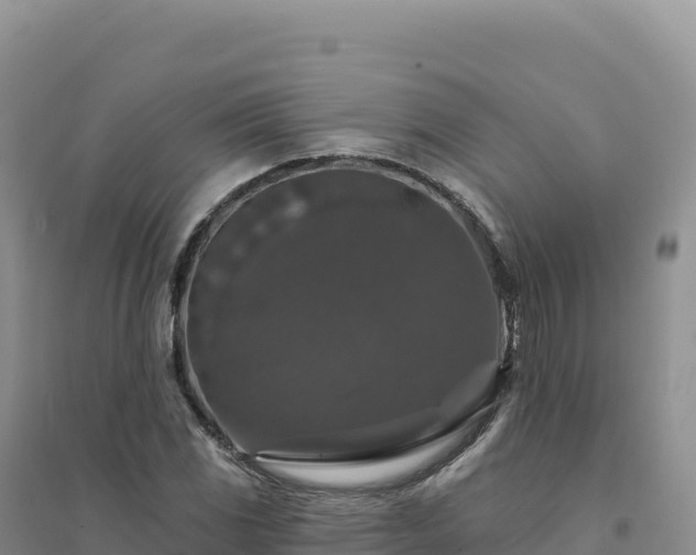 X0000094381117200711091555