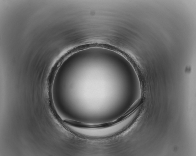 X0000094381118200711091555