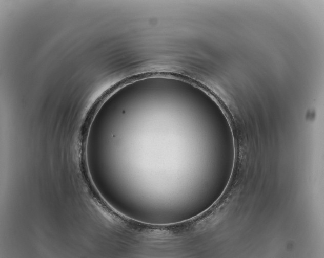 X0000094381119200711091555