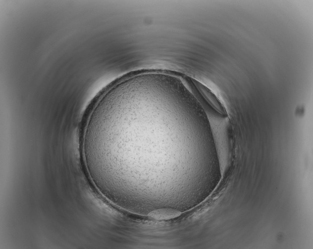 X0000094381120200711091555