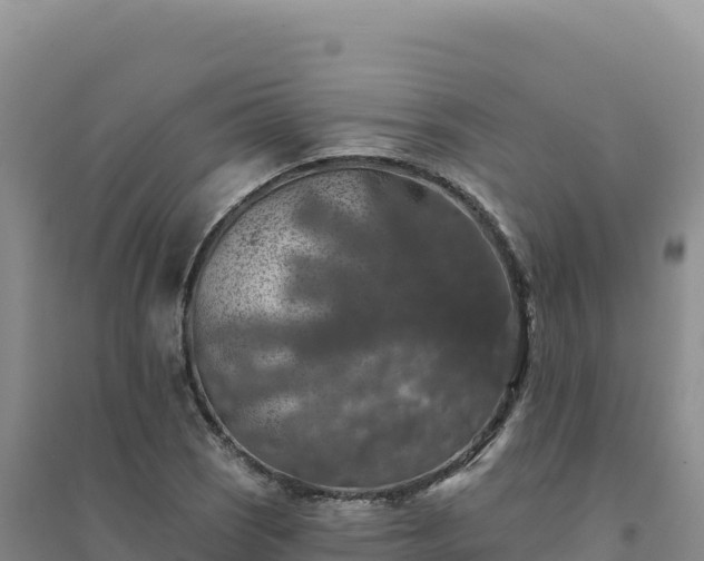 X0000094381121200711091555