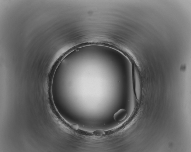 X0000094381122200711091555