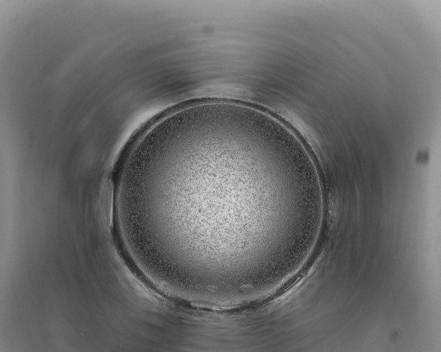 X0000094381123200711091555
