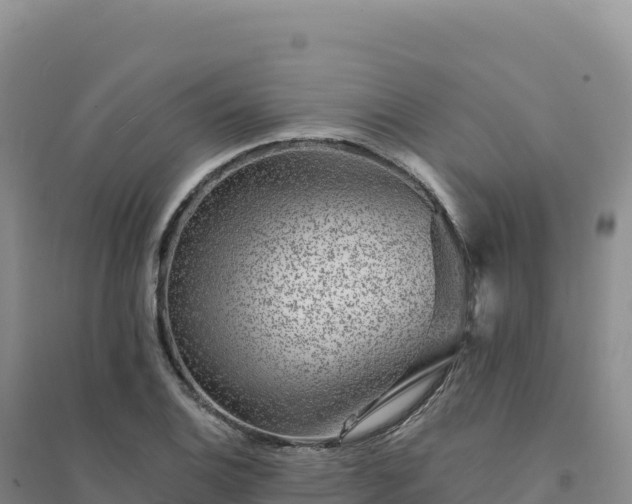 X0000094381124200711091555