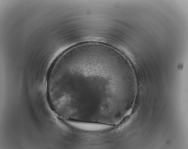 X0000094381125200711091555