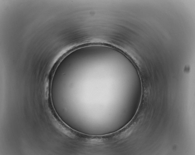 X0000094381126200711091555